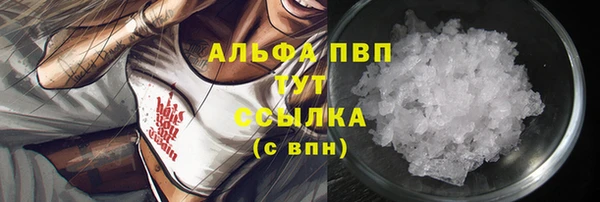 СК Протвино