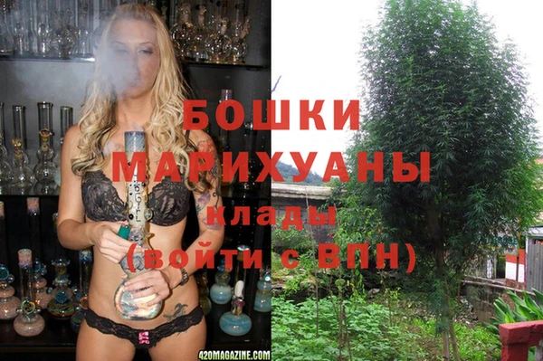 прущие крисы Гатчина