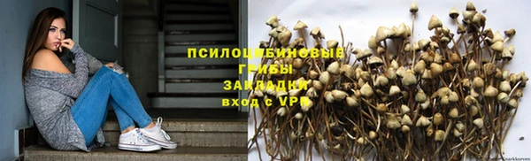 PSILOCYBIN Бежецк