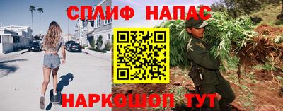 шишки Балашиха