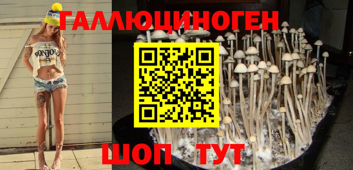где купить наркотик  Вход с VPN  Балашиха  Галлюциногенные грибы GOLDEN TEACHER 