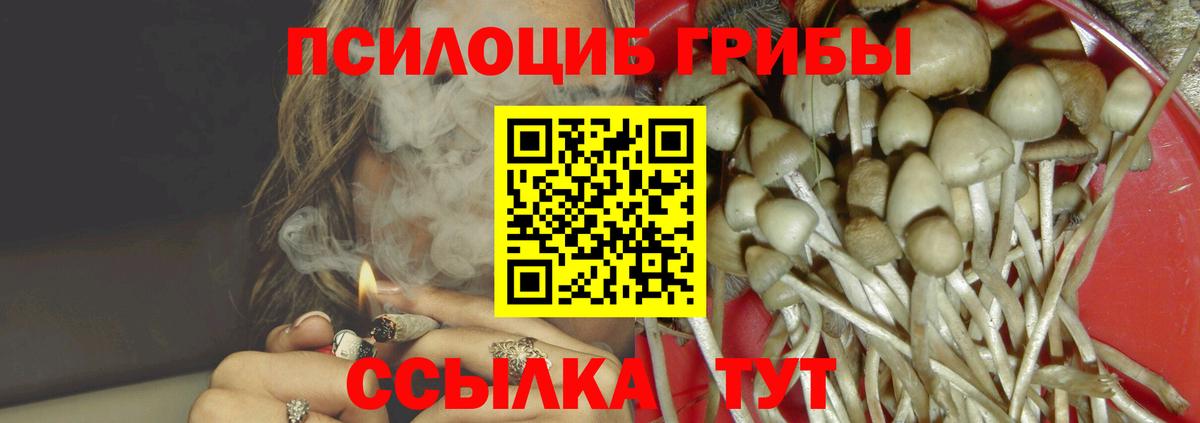 цена   Балашиха  Псилоцибиновые грибы ЛСД 